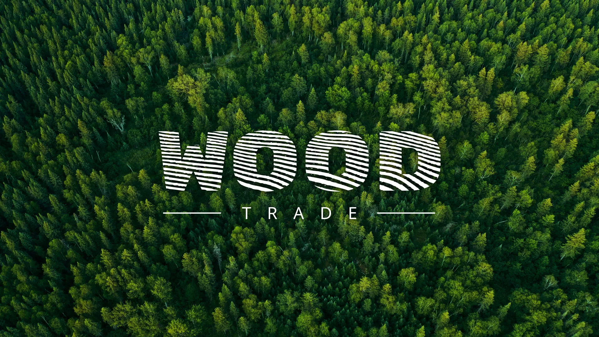 Разработка интернет-магазина компании «Wood Trade» в Комсомольске